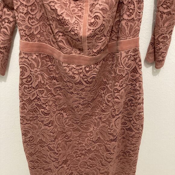 EXPRESS pink rose floral lace overlay velvet trim cold shoulder shift dress 10 - Picture 3 of 10